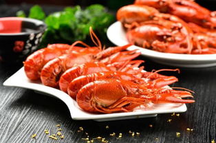 北京正規(guī)的月嫂公司